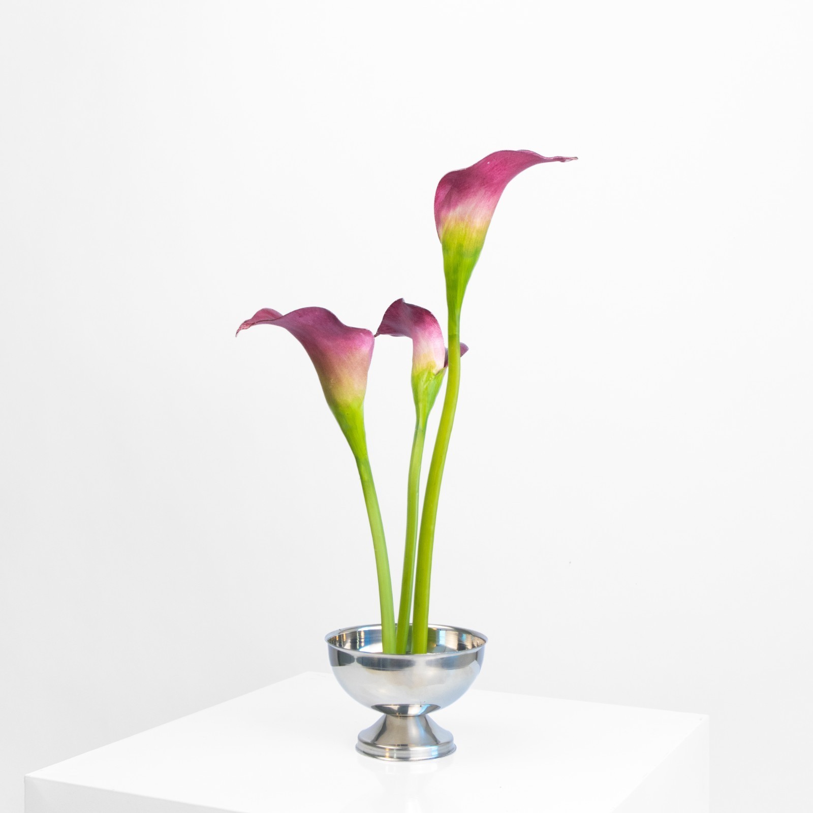 Burgundy Calla Lily Arrangement — thumbnail 2 of 4