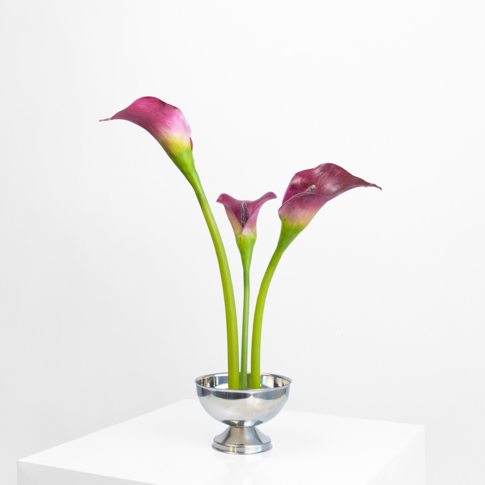 Burgundy Calla Lily Arrangement — thumbnail 4 of 4